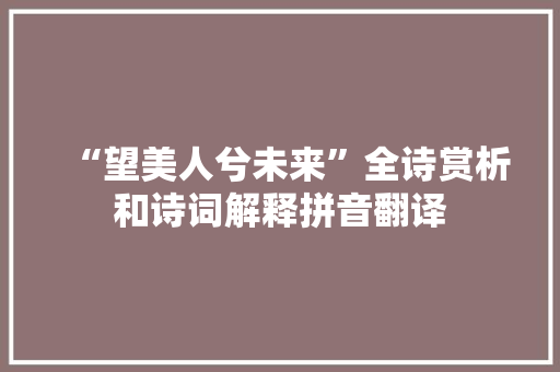 “望美人兮未来”全诗赏析和诗词解释拼音翻译