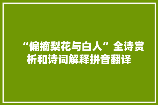 “偏摘梨花与白人”全诗赏析和诗词解释拼音翻译