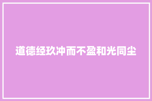 道德经玖冲而不盈和光同尘