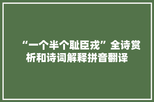 “一个半个耻臣戎”全诗赏析和诗词解释拼音翻译