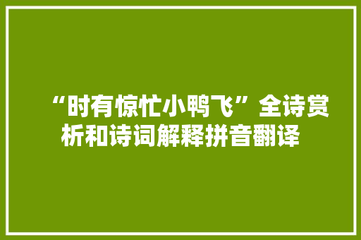 “时有惊忙小鸭飞”全诗赏析和诗词解释拼音翻译