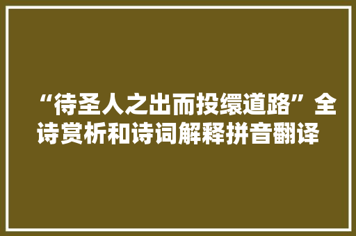 “待圣人之出而投缳道路”全诗赏析和诗词解释拼音翻译 “待圣人之出而投缳道路”全诗赏析和诗词解释拼音翻译