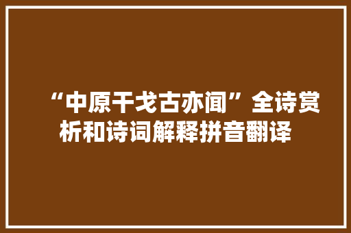 “中原干戈古亦闻”全诗赏析和诗词解释拼音翻译