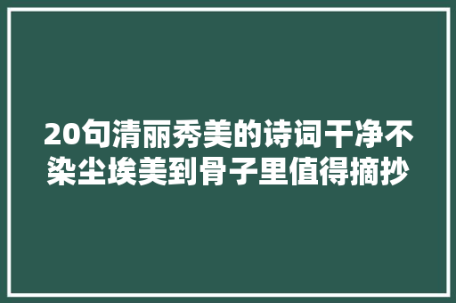 20句清丽秀美的诗词干净不染尘埃美到骨子里值得摘抄收藏