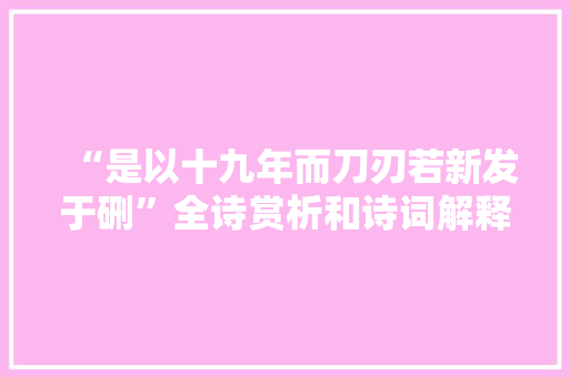“是以十九年而刀刃若新发于硎”全诗赏析和诗词解释拼音翻译