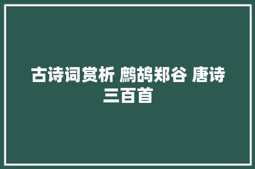 古诗词赏析 鹧鸪郑谷 唐诗三百首