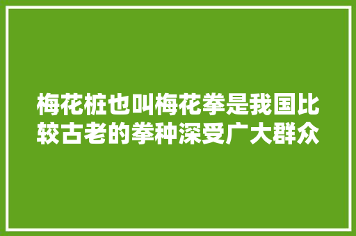 梅花桩也叫梅花拳是我国比较古老的拳种深受广大群众喜好