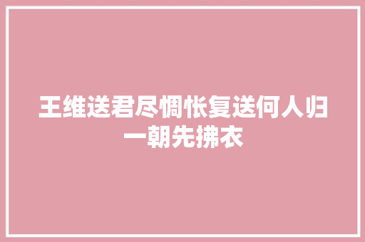 王维送君尽惆怅复送何人归一朝先拂衣