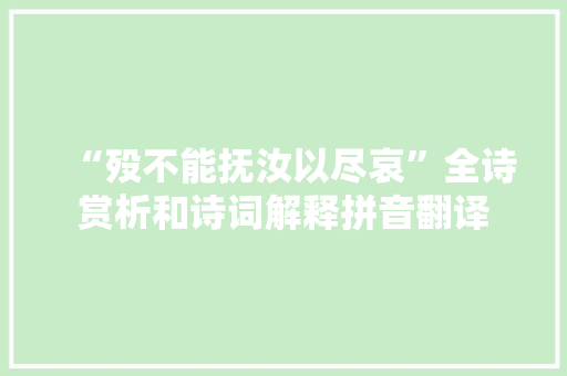 “殁不能抚汝以尽哀”全诗赏析和诗词解释拼音翻译