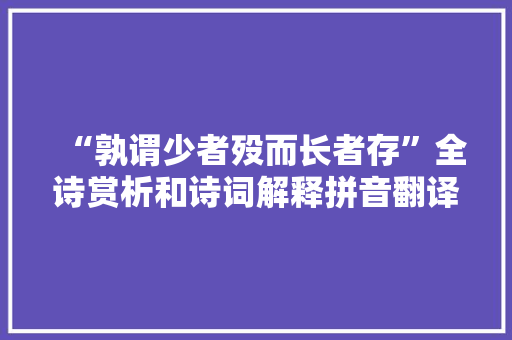 “孰谓少者殁而长者存”全诗赏析和诗词解释拼音翻译