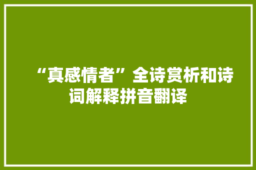 “真感情者”全诗赏析和诗词解释拼音翻译