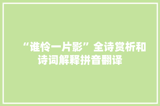 “谁怜一片影”全诗赏析和诗词解释拼音翻译
