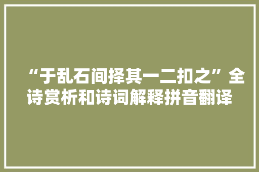 “于乱石间择其一二扣之”全诗赏析和诗词解释拼音翻译
