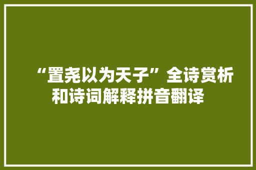 “置尧以为天子”全诗赏析和诗词解释拼音翻译