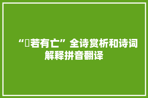 “怳若有亡”全诗赏析和诗词解释拼音翻译