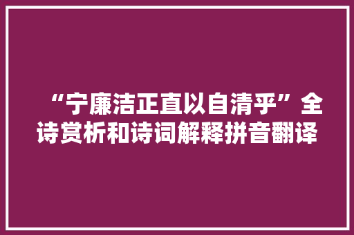 “宁廉洁正直以自清乎”全诗赏析和诗词解释拼音翻译
