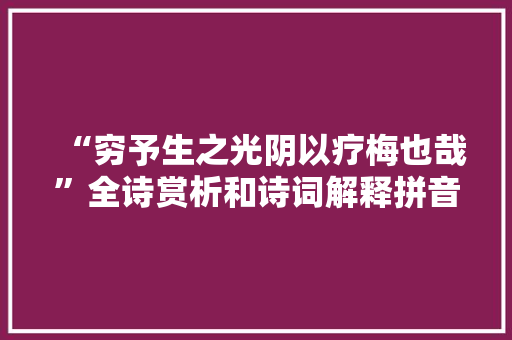 “穷予生之光阴以疗梅也哉”全诗赏析和诗词解释拼音翻译