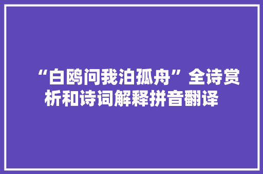 “白鸥问我泊孤舟”全诗赏析和诗词解释拼音翻译