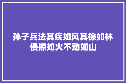 孙子兵法其疾如风其徐如林侵掠如火不动如山