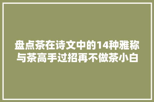 盘点茶在诗文中的14种雅称与茶高手过招再不做茶小白