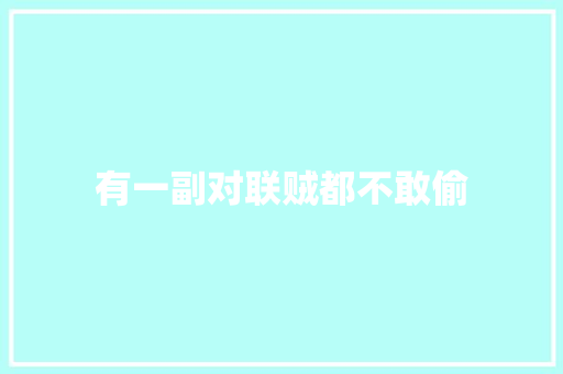 有一副对联贼都不敢偷