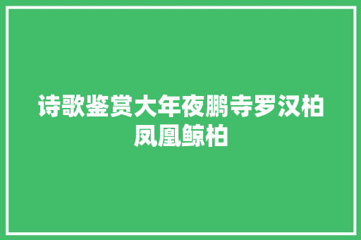 诗歌鉴赏大年夜鹏寺罗汉柏凤凰鲸柏