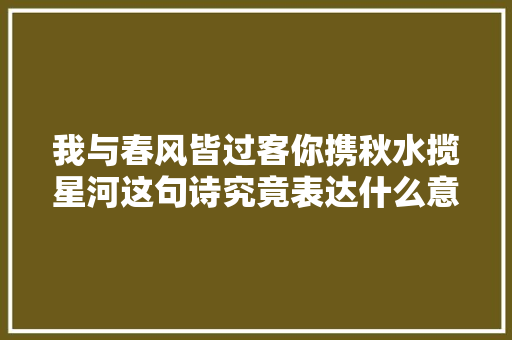 我与春风皆过客你携秋水揽星河这句诗究竟表达什么意境