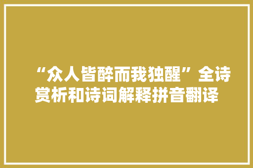 “众人皆醉而我独醒”全诗赏析和诗词解释拼音翻译
