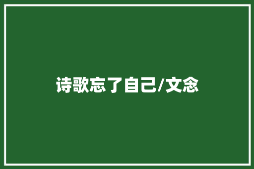 诗歌忘了自己/文念