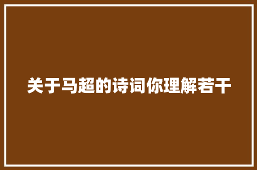 关于马超的诗词你理解若干