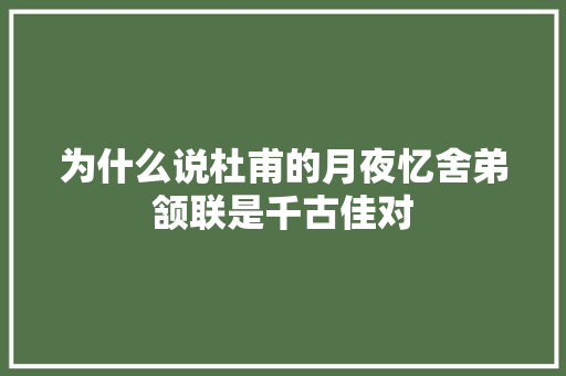 为什么说杜甫的月夜忆舍弟颔联是千古佳对