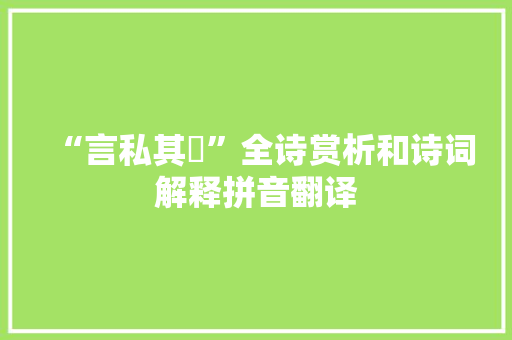 “言私其豵”全诗赏析和诗词解释拼音翻译