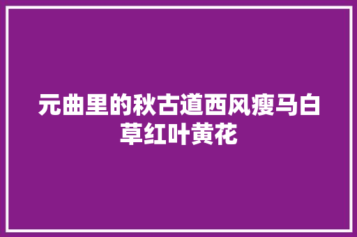 元曲里的秋古道西风瘦马白草红叶黄花