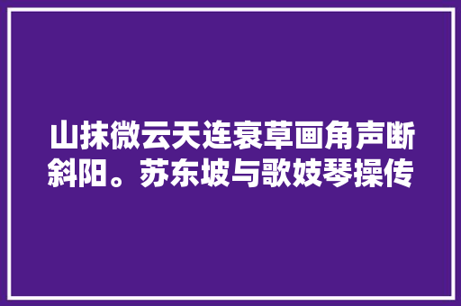 山抹微云天连衰草画角声断斜阳。苏东坡与歌妓琴操传奇