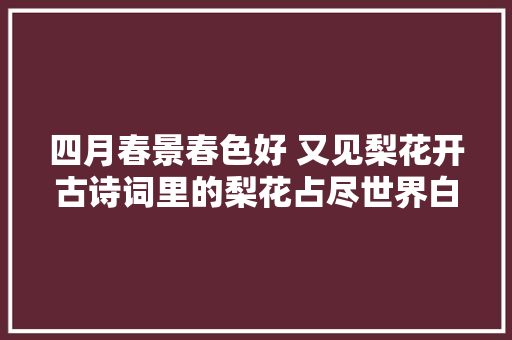 四月春景春色好 又见梨花开古诗词里的梨花占尽世界白压尽人世花
