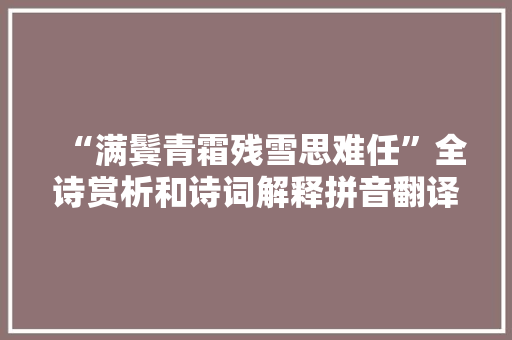 “满鬓青霜残雪思难任”全诗赏析和诗词解释拼音翻译