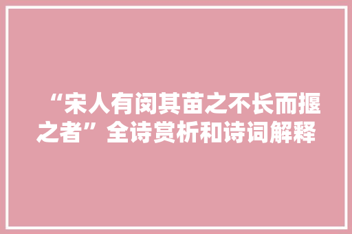 “宋人有闵其苗之不长而揠之者”全诗赏析和诗词解释拼音翻译