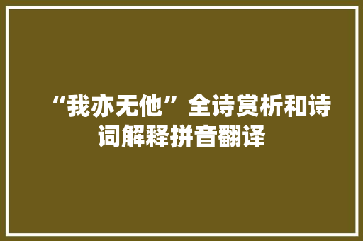“我亦无他”全诗赏析和诗词解释拼音翻译