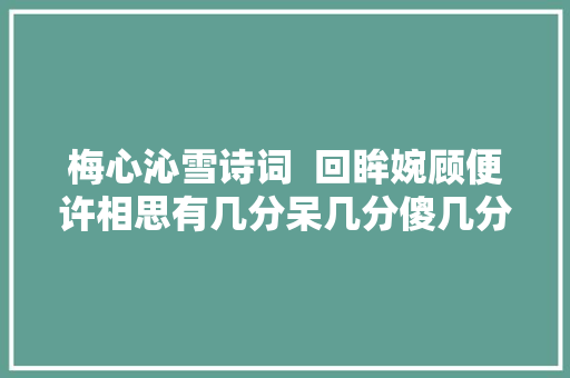 梅心沁雪诗词  回眸婉顾便许相思有几分呆几分傻几分痴