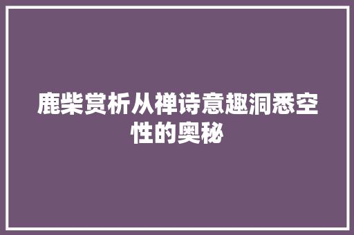 鹿柴赏析从禅诗意趣洞悉空性的奥秘