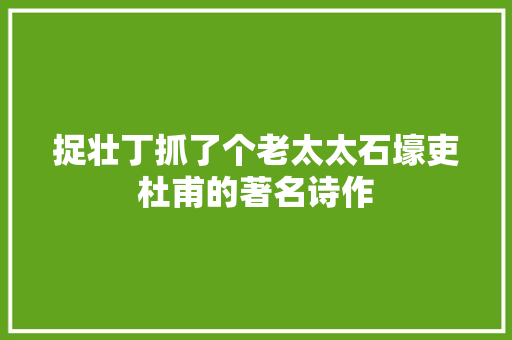 捉壮丁抓了个老太太石壕吏杜甫的著名诗作