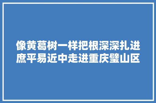 像黄葛树一样把根深深扎进庶平易近中走进重庆璧山区三级院坝会