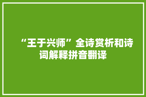 “王于兴师”全诗赏析和诗词解释拼音翻译