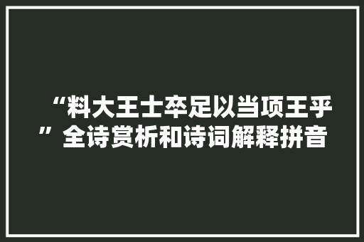 “料大王士卒足以当项王乎”全诗赏析和诗词解释拼音翻译 “料大王士卒足以当项王乎”全诗赏析和诗词解释拼音翻译