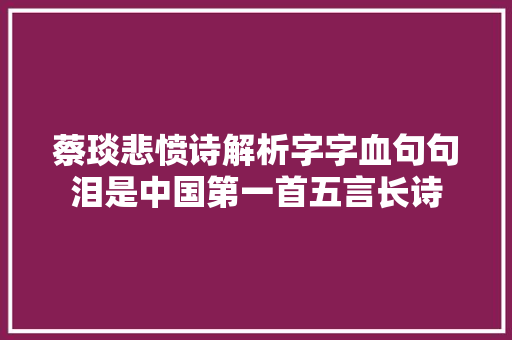 蔡琰悲愤诗解析字字血句句泪是中国第一首五言长诗