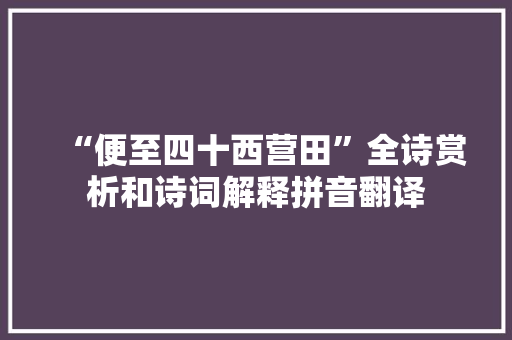 “便至四十西营田”全诗赏析和诗词解释拼音翻译