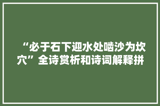 “必于石下迎水处啮沙为坎穴”全诗赏析和诗词解释拼音翻译