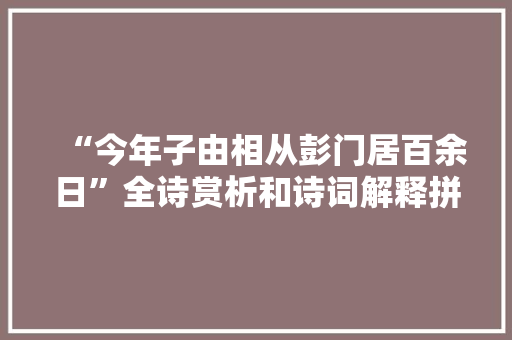 “今年子由相从彭门居百余日”全诗赏析和诗词解释拼音翻译