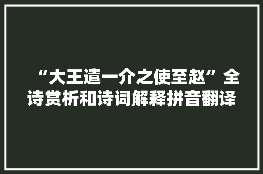 “大王遣一介之使至赵”全诗赏析和诗词解释拼音翻译