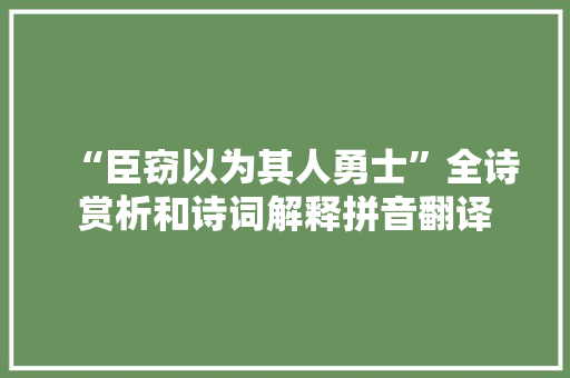 “臣窃以为其人勇士”全诗赏析和诗词解释拼音翻译